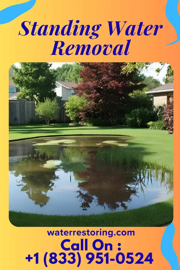 Standing Water Removal in Bastrop, TX